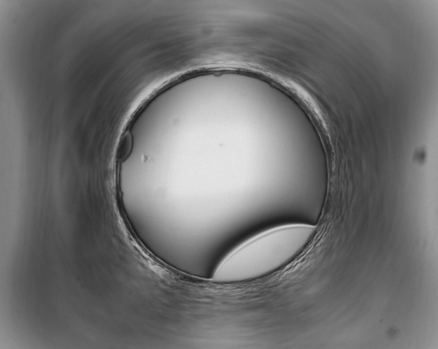 X0000101101191200806261037