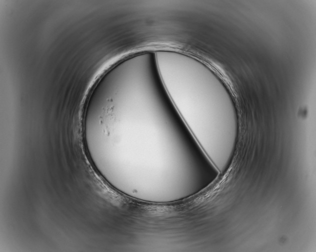 X0000101101192200806261037