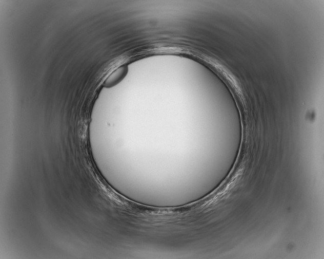 X0000101101193200806261037