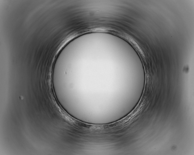 X0000101101194200806261037