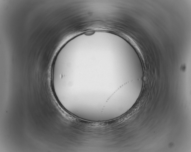 X0000101101195200806261037