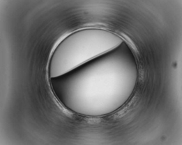 X0000101101196200806261037