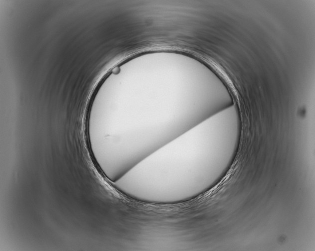 X0000101101197200806261037