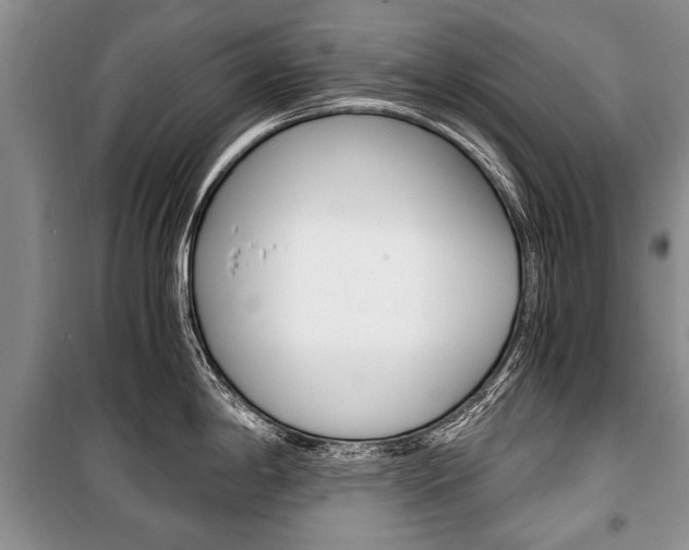 X0000101101198200806261037