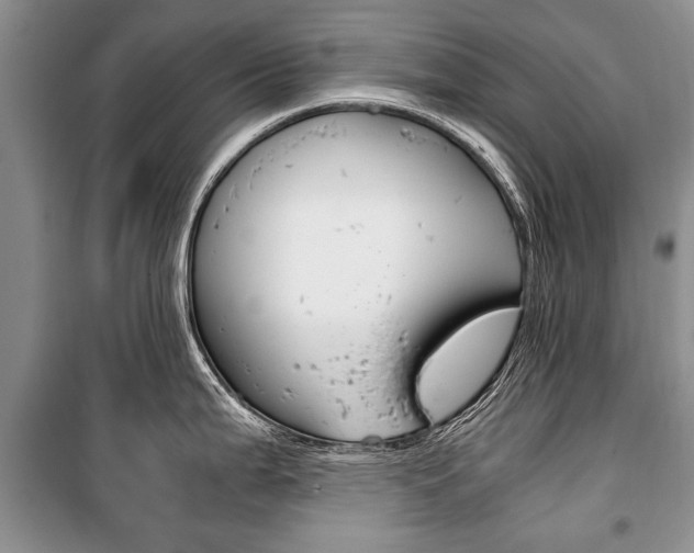 X0000101101199200806261037