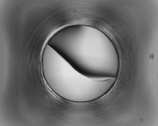 X0000101101200200806261037