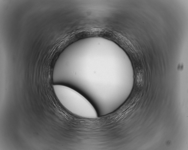 X0000101101204200806261036