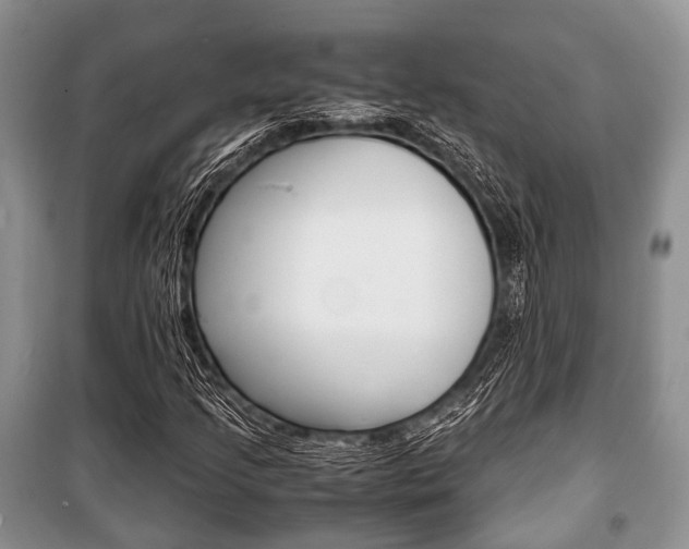X0000101101205200806261036