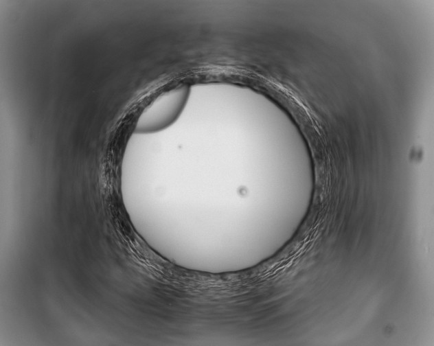 X0000101101207200806261036