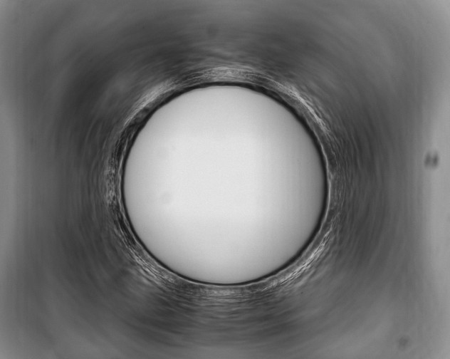 X0000101101211200806261036
