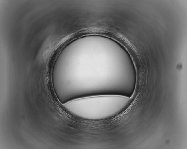 X0000101101213200806261036