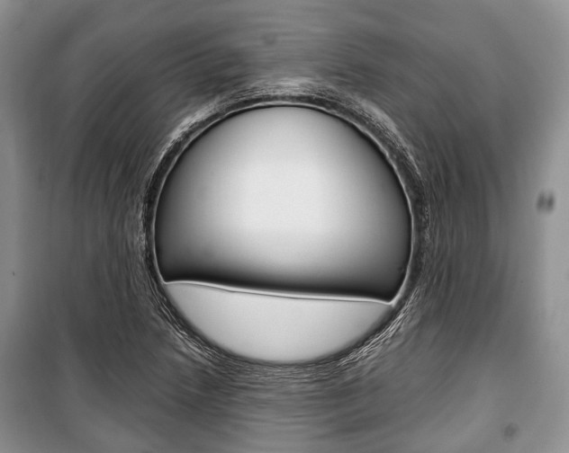 X0000101101218200806261036