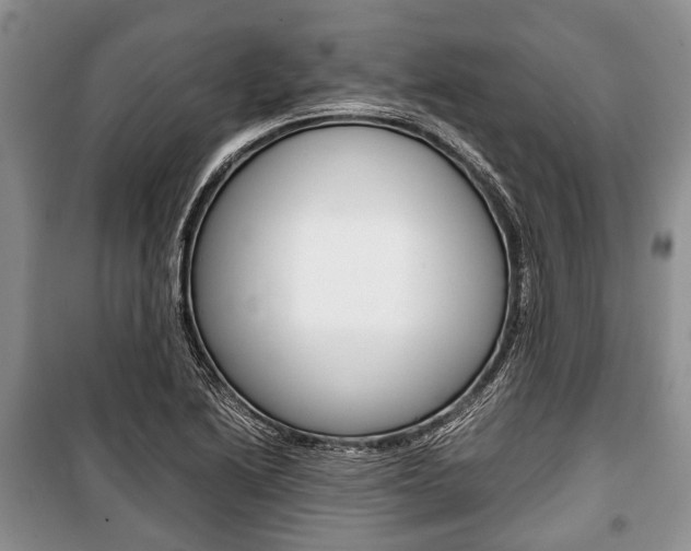 X0000101101222200806261036