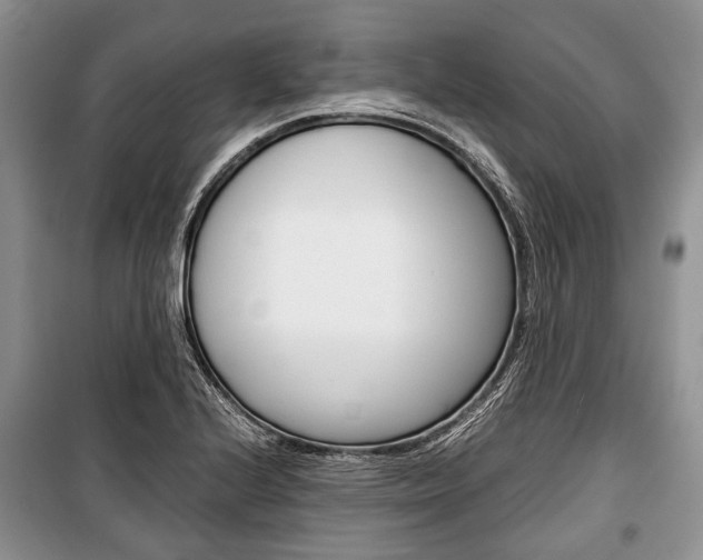 X0000101101224200806261036