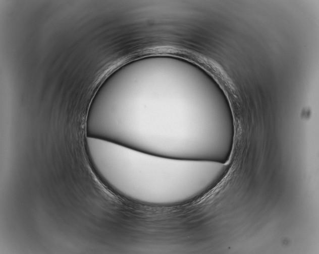 X0000101101225200806261036