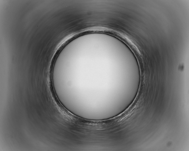 X0000101101229200806261036