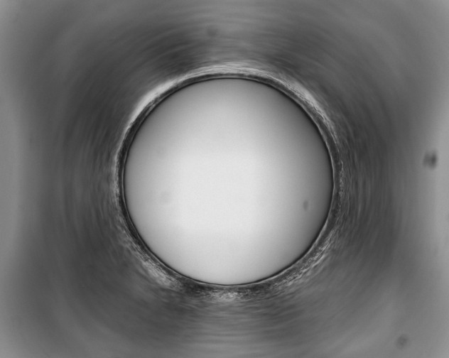 X0000101101230200806261036