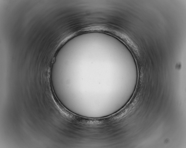 X0000101101233200806261036
