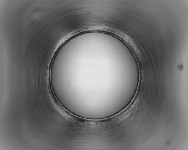 X0000101101234200806261036