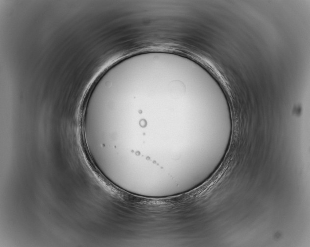 X0000101101235200806261036