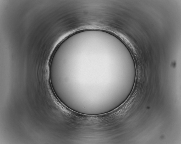 X0000101101238200806261036