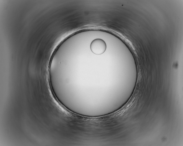 X0000101101239200806261036