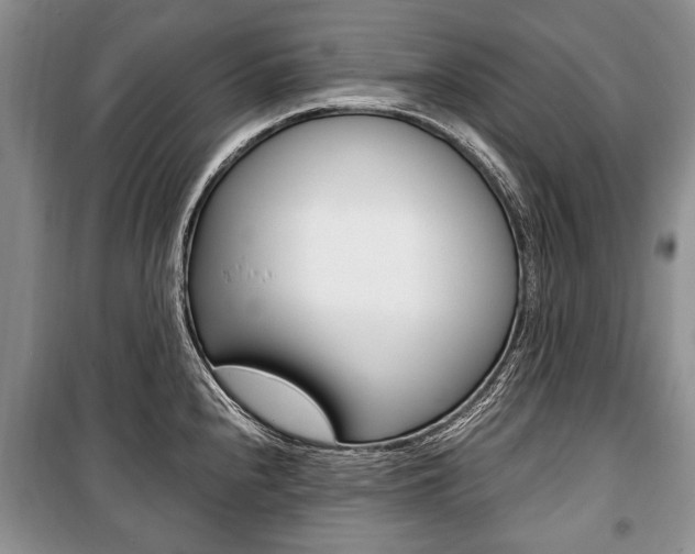 X0000101101240200806261037