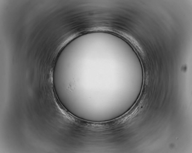 X0000101101241200806261037
