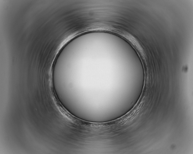 X0000101101242200806261037