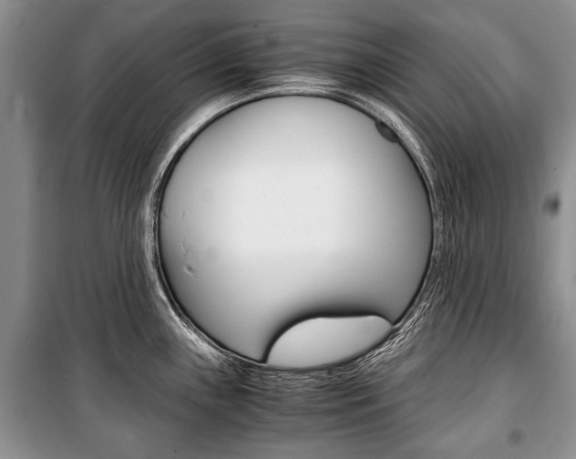X0000101101243200806261037