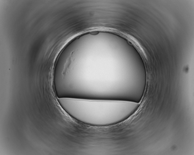 X0000101101244200806261037