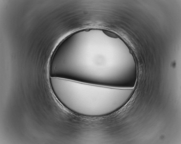 X0000101101246200806261037