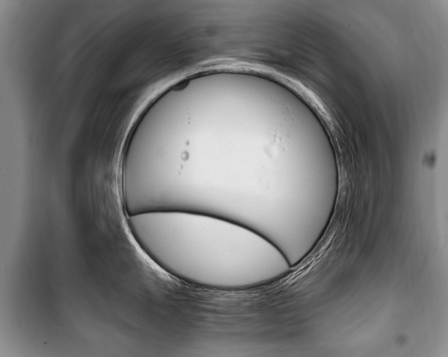 X0000101101247200806261037