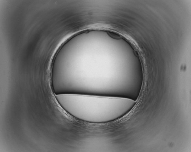 X0000101101248200806261037
