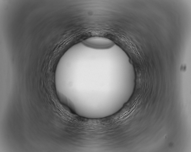 X0000101101249200806261036