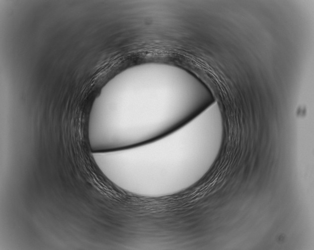 X0000101101250200806261036