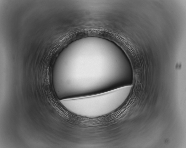 X0000101101252200806261036