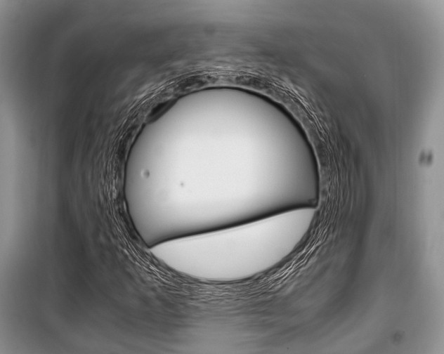 X0000101101253200806261036