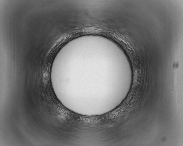 X0000101101254200806261036