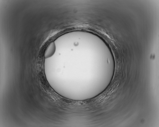X0000101101255200806261036