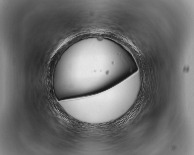 X0000101101256200806261036
