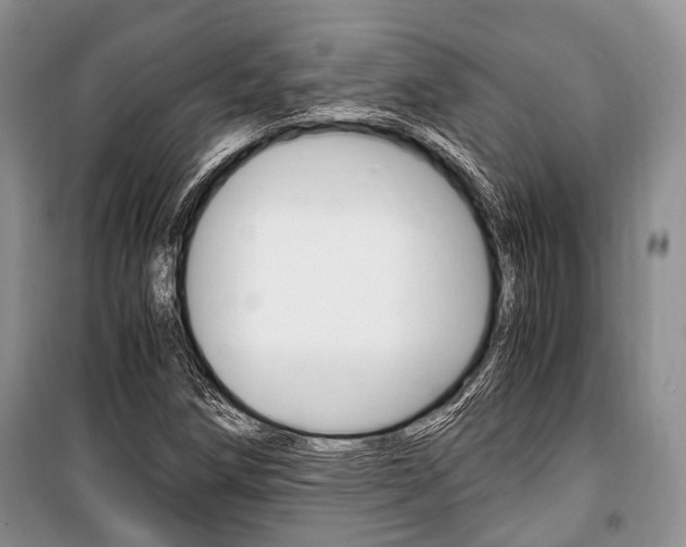 X0000101101258200806261036
