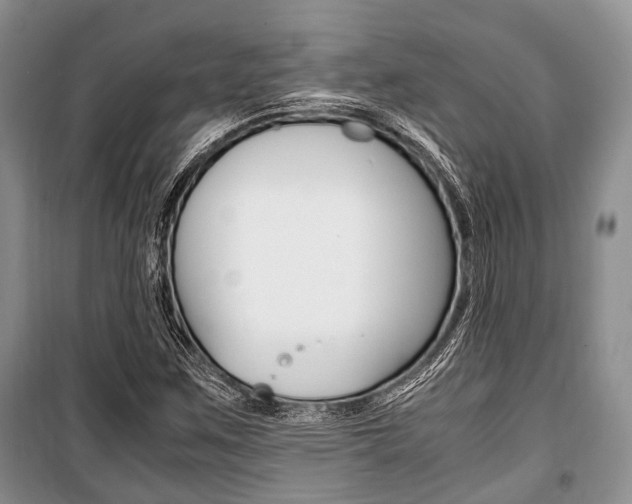 X0000101101259200806261036