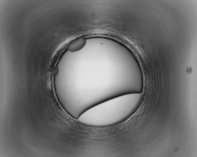 X0000101101262200806261036