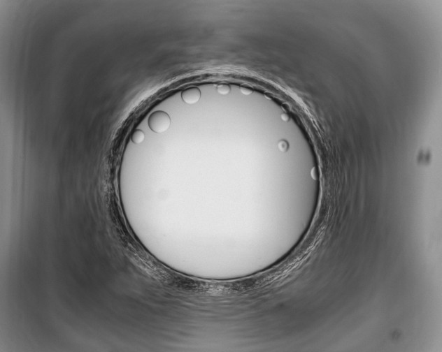 X0000101101263200806261036