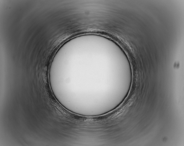 X0000101101265200806261036