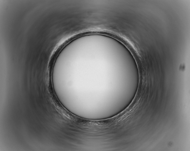 X0000101101270200806261036