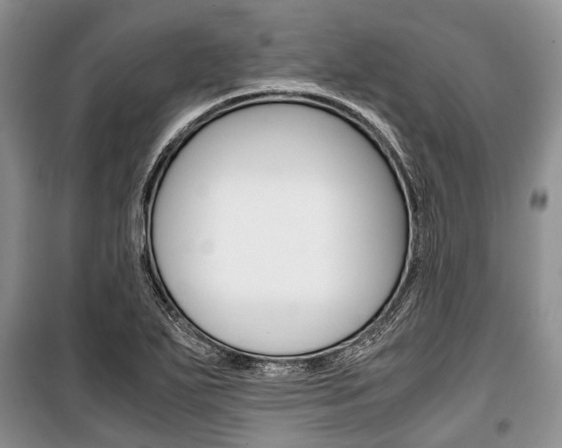 X0000101101271200806261036