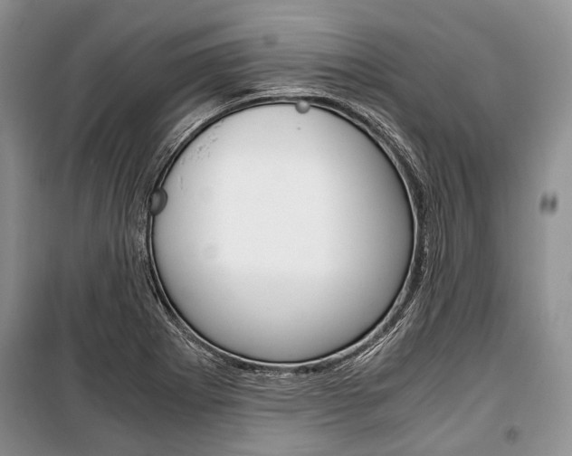 X0000101101273200806261036