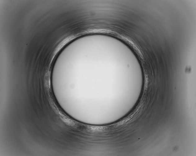 X0000101101274200806261036